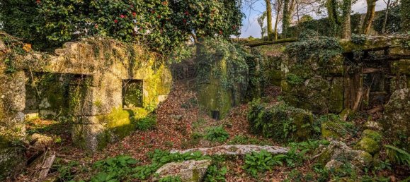 1 bedroom House in Ribeiros, Portugal No. 37058 5