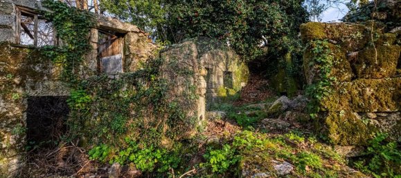 1 bedroom House in Ribeiros, Portugal No. 37058 4