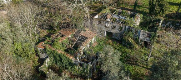 1 bedroom House in Ribeiros, Portugal No. 37058 16