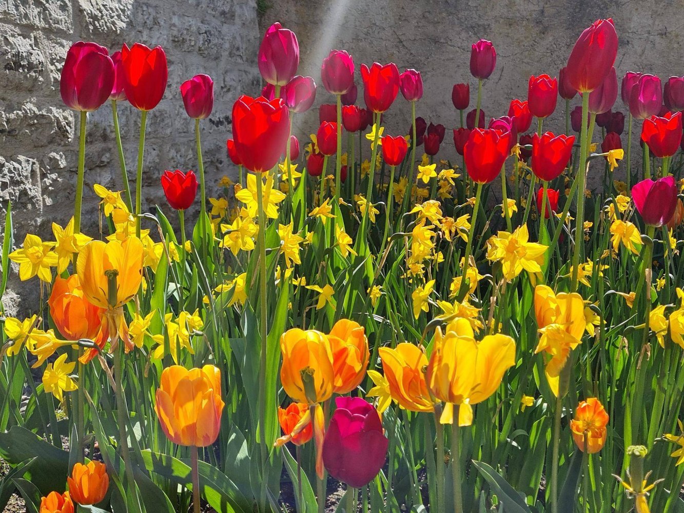 2 غرف نوم منزل ذو طابقين في Altmunster, Austria رقم 188601