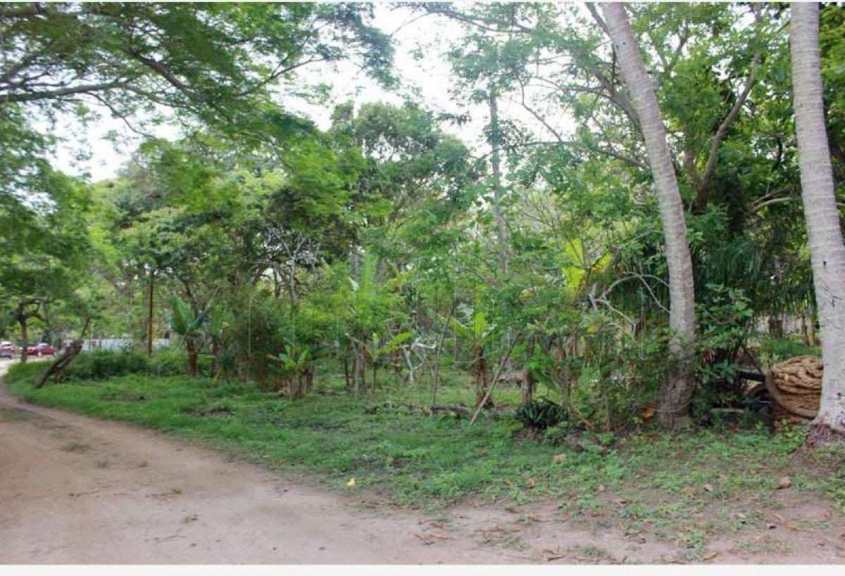 Земельный участок в Веракрус, Мексика № 206846