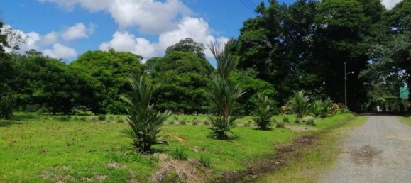  Land in Cariari, Costa Rica No. 1920 4
