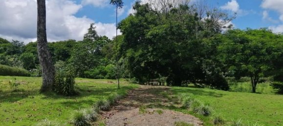  Land in Cariari, Costa Rica No. 1920 5