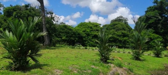  Land in Cariari, Costa Rica No. 1920 6