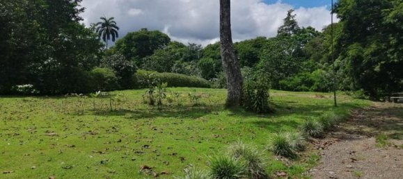  Land in Cariari, Costa Rica No. 1920 2