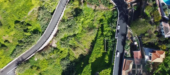 Terreno en Ribeira Brava, Portugal 3250 m² No. 143468 9