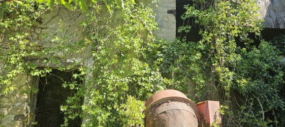 4 bedrooms House in Bourbonne-les-Bains, France No. 258024 5