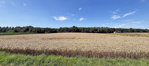 8-Zimmer Haus in Neckar-Odenwald-Kreis, Germany, Nr. 369477 4