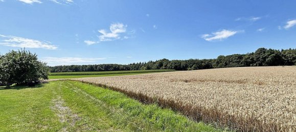 8-Zimmer Haus in Neckar-Odenwald-Kreis, Germany, Nr. 369477 3