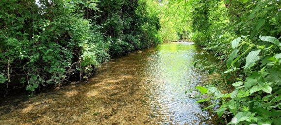 4 bedrooms House in Nogent-le-Roi, France No. 155650 16