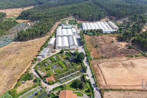 8000m² Commercial property in Torres Vedras, Portugal No. 271614