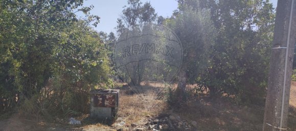 2 Schlafzimmer Haus in Abrantes, Portugal, Nr. 20157 19