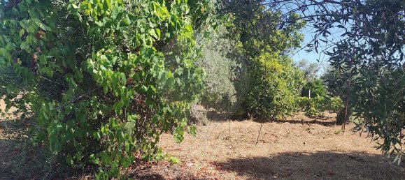 2 Schlafzimmer Haus in Abrantes, Portugal, Nr. 20157 24