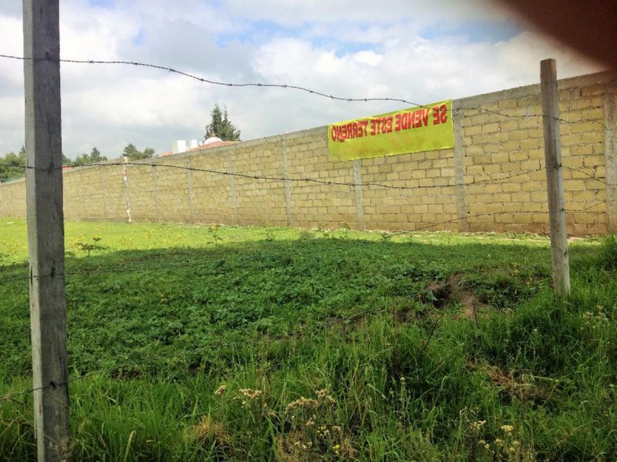  Land in Mexico No. 202966