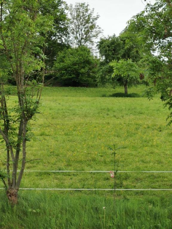  قطعة أرض في Rosegg, Austria 14300متر مربع رقم 196257