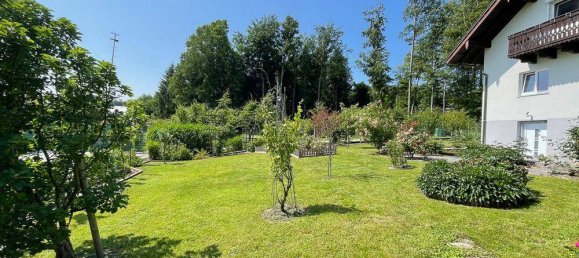 6-salle Maison à Lamprechtshausen, Austria No. 133769 3