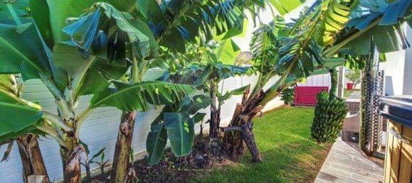 4 Schlafzimmer Haus in Albufeira, Portugal, Nr. 109224 22