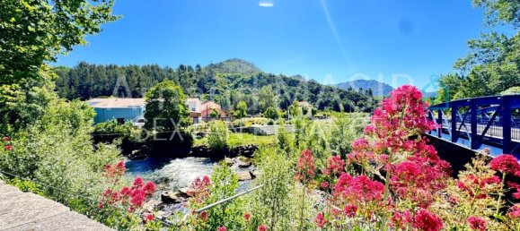 4 Schlafzimmer Haus in Occitanie, France, Nr. 325038 2