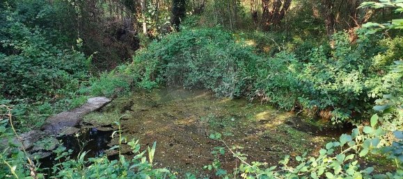 4 bedrooms House in Castelo de Paiva, Portugal No. 47975 17