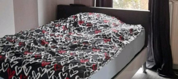 Таунхаус с 5 спальнями в Дитмаршен, Германия № 355849 14