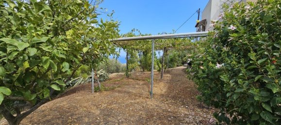 2 Schlafzimmer Gewerbliche Immobilien in Gazi, Greece, Nr. 2900 9