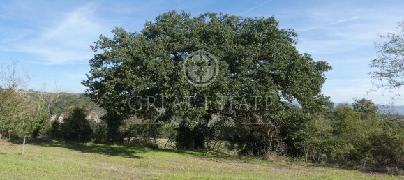 Casa de 10 divisões em Asciano, Italy N.º 179485 15