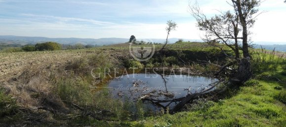 Casa de 10 divisões em Asciano, Italy N.º 179485 11