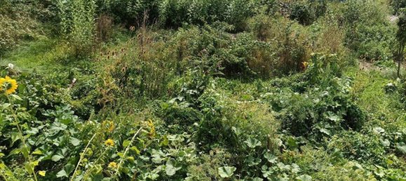 Casa de 6 divisões em Steindorf am Ossiacher See, Austria N.º 237446 7