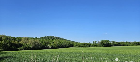 3 chambres Maison à Moselle, France No. 363619 14