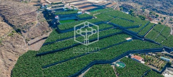 Villa in Guia de Isora, Spain, Nr. 11403 30