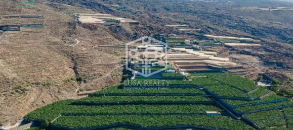 Villa in Guia de Isora, Spain, Nr. 11403 28