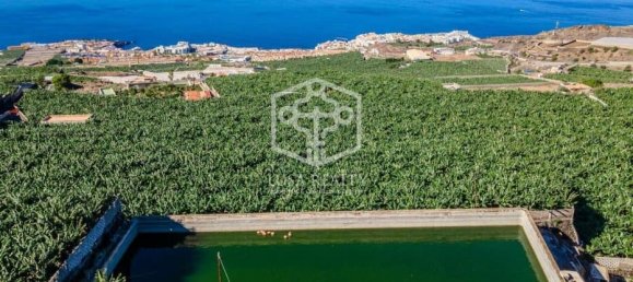 Villa in Guia de Isora, Spain, Nr. 11403 6