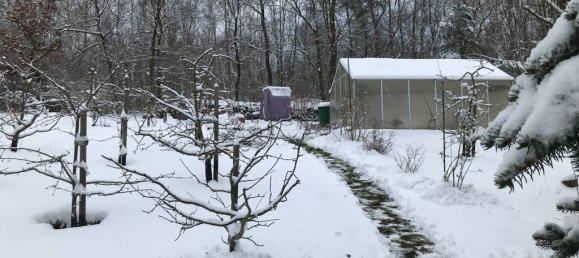 Grundstück in Elbe-Elster, Germany, Nr. 64200 24