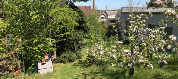 Grundstück in Elbe-Elster, Germany, Nr. 64200 8