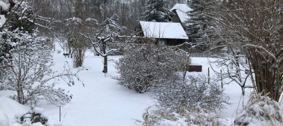 Grundstück in Elbe-Elster, Germany, Nr. 64200 21