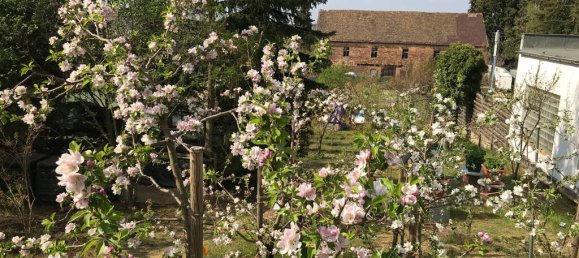 Grundstück in Elbe-Elster, Germany, Nr. 64200 6