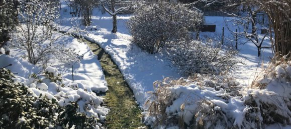 Grundstück in Elbe-Elster, Germany, Nr. 64200 2