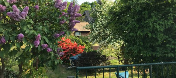 Grundstück in Elbe-Elster, Germany, Nr. 64200 4