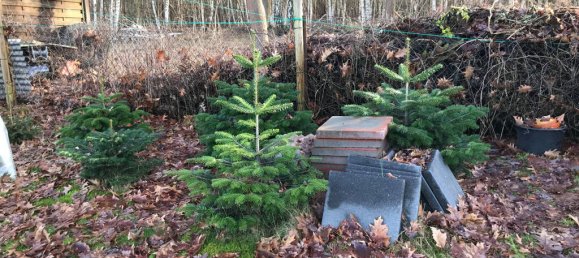 Grundstück in Elbe-Elster, Germany, Nr. 64200 19