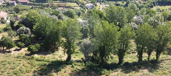 3 bedrooms House in Cabeceiras de Basto, Portugal No. 182190 17