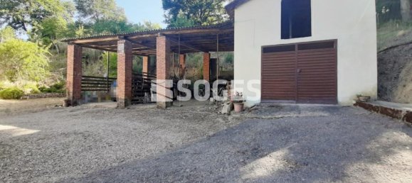 7 rooms House in Montevarchi, Italy No. 139445 3