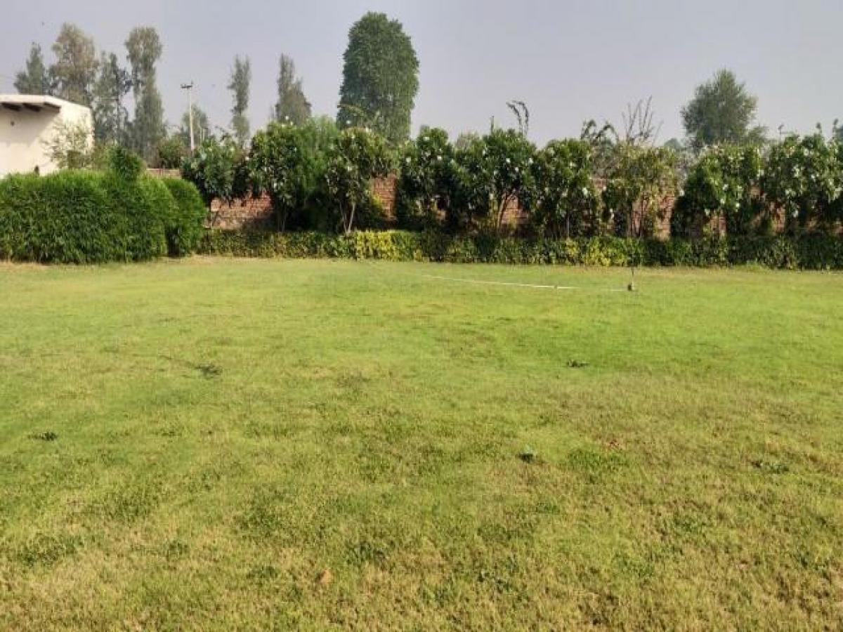  Land in Gurgaon, India No. 35046