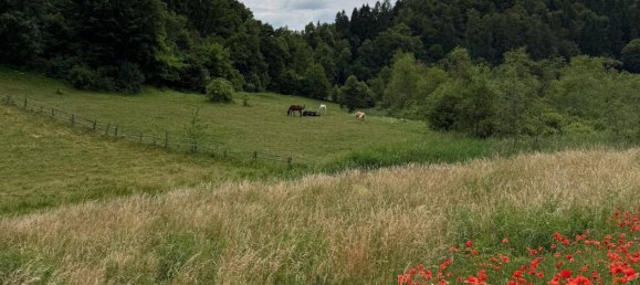 Grundstück in Maria Rain, Austria 764m², Nr. 157734 3