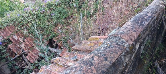 1 Schlafzimmer Haus in Alenquer, Portugal, Nr. 56498 5