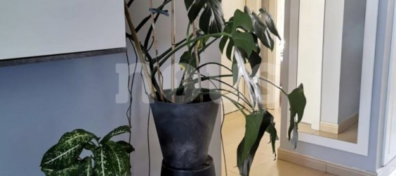 2 bedrooms Apartment in Fanabe, Spain No. 17663 8