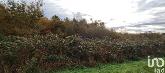 Terreno en Villefranche-sur-Cher, France 6786 m² No. 157901 2