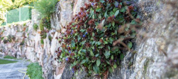 3 bedrooms Villa in Cerro Veronese, Italy No. 174638 26