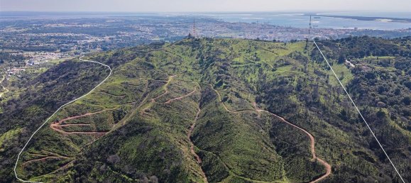 400000m² Land in Setubal, Portugal No. 142523 9