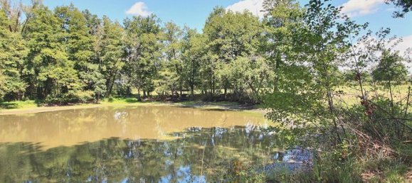 4 Schlafzimmer Haus in Montrond-les-Bains, France, Nr. 304960 13