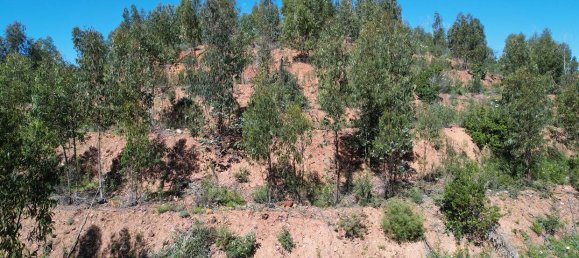  قطعة أرض في Silves, Portugal 150متر مربع رقم 132633 5